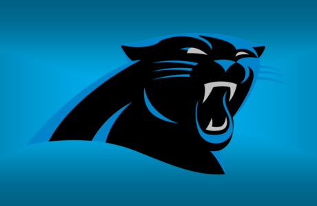 Panthers, Carolina Panthers 2020