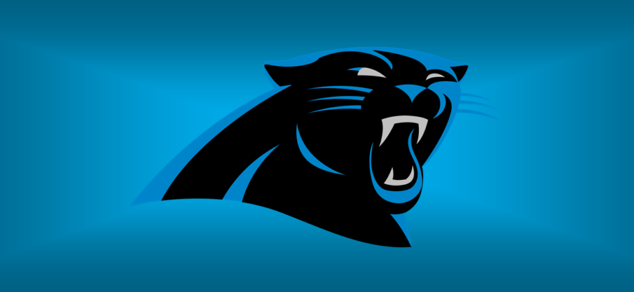Panthers, Carolina Panthers 2020