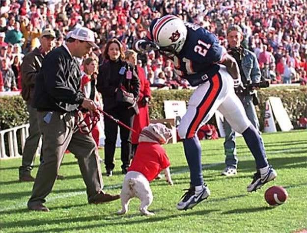 Georgia v Auburn